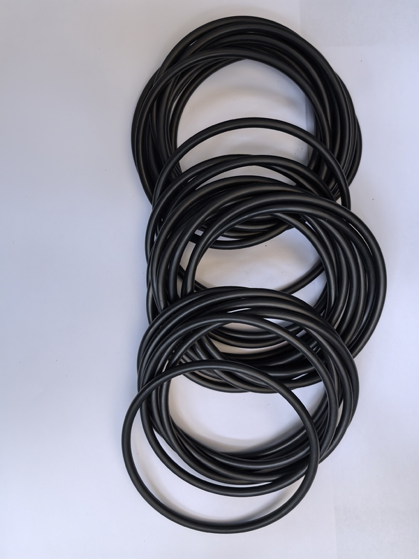 Rubber Sealing Ring Fluorine Oil Hydraulic O Ring Oil Seal
